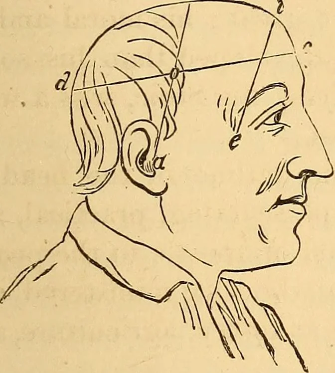An illustration from New physiognomy, 1867, leaf 756