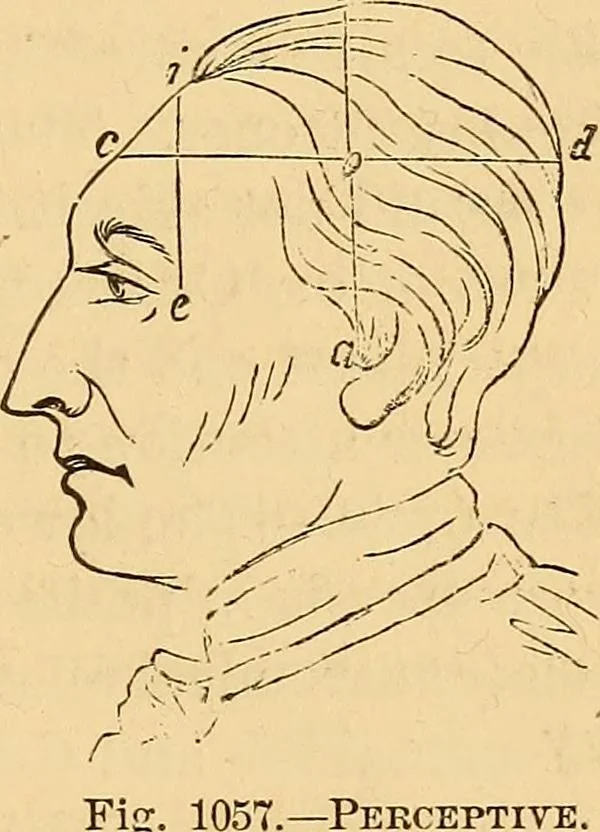 An illustration from New physiognomy, 1867, leaf 756