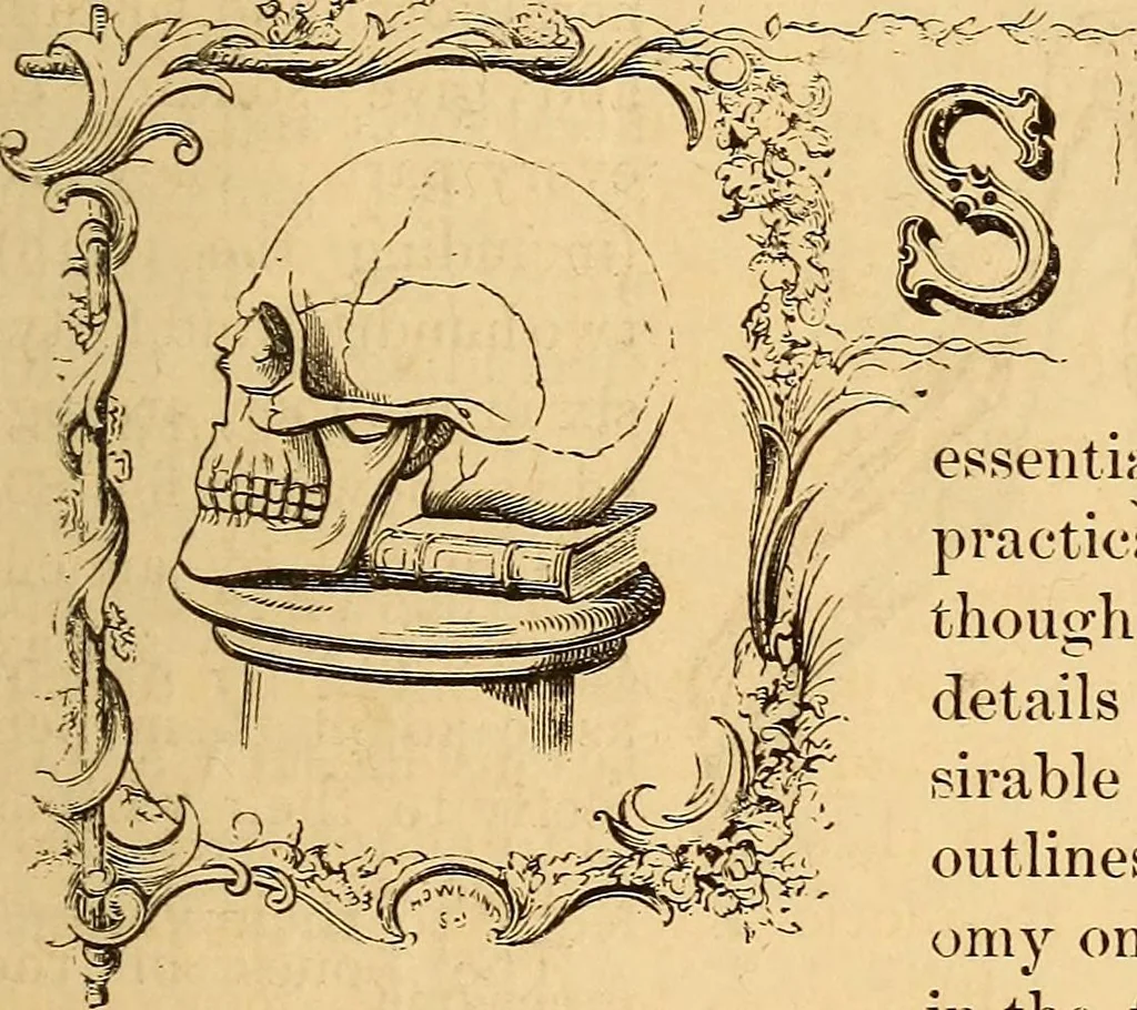 An illustration from New physiognomy, 1867, leaf 76