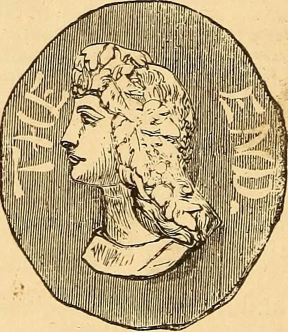 An illustration from New physiognomy, 1867, leaf 775