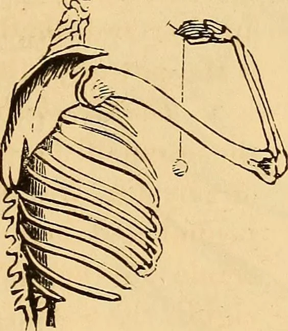 An illustration from New physiognomy, 1867, leaf 86