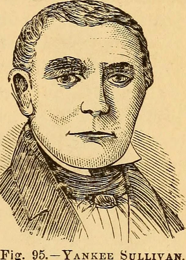 An illustration from New physiognomy, 1867, leaf 92