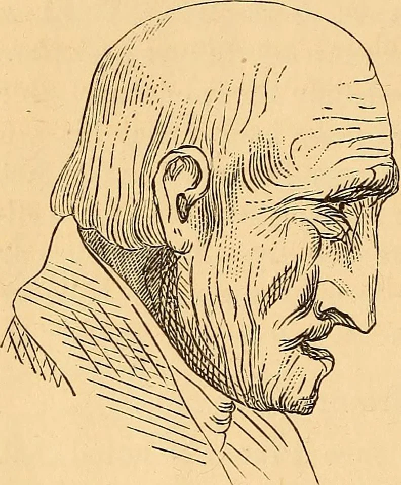 An illustration from New physiognomy, 1867, leaf 99