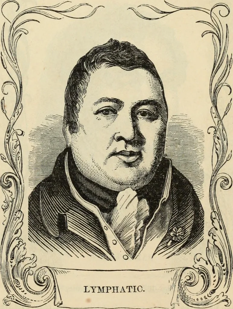 An illustration from New Physiognomy : or signs of character, as manifested through temperament and external forms, and especially in the "the human face divine.", 1889, leaf 102