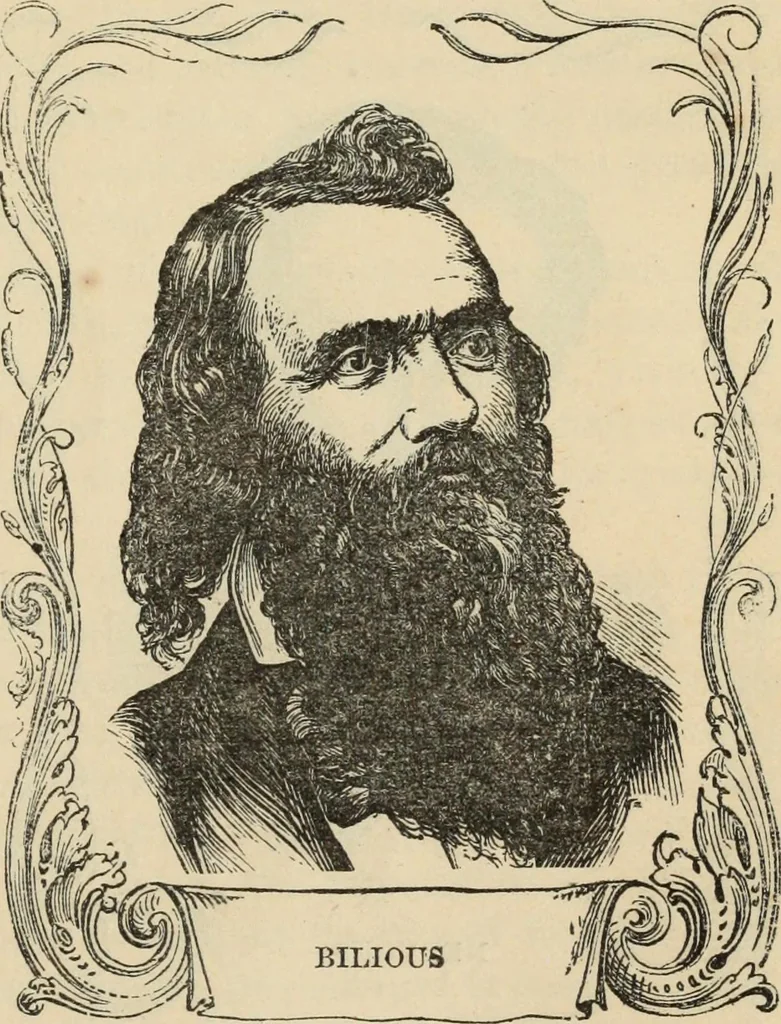 An illustration from New Physiognomy : or signs of character, as manifested through temperament and external forms, and especially in the "the human face divine.", 1889, leaf 104