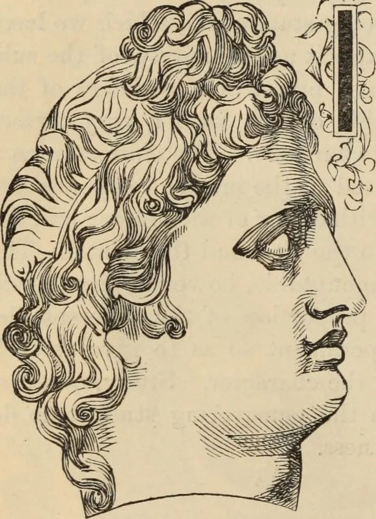 An illustration from New Physiognomy : or signs of character, as manifested through temperament and external forms, and especially in the "the human face divine.", 1889, leaf 117