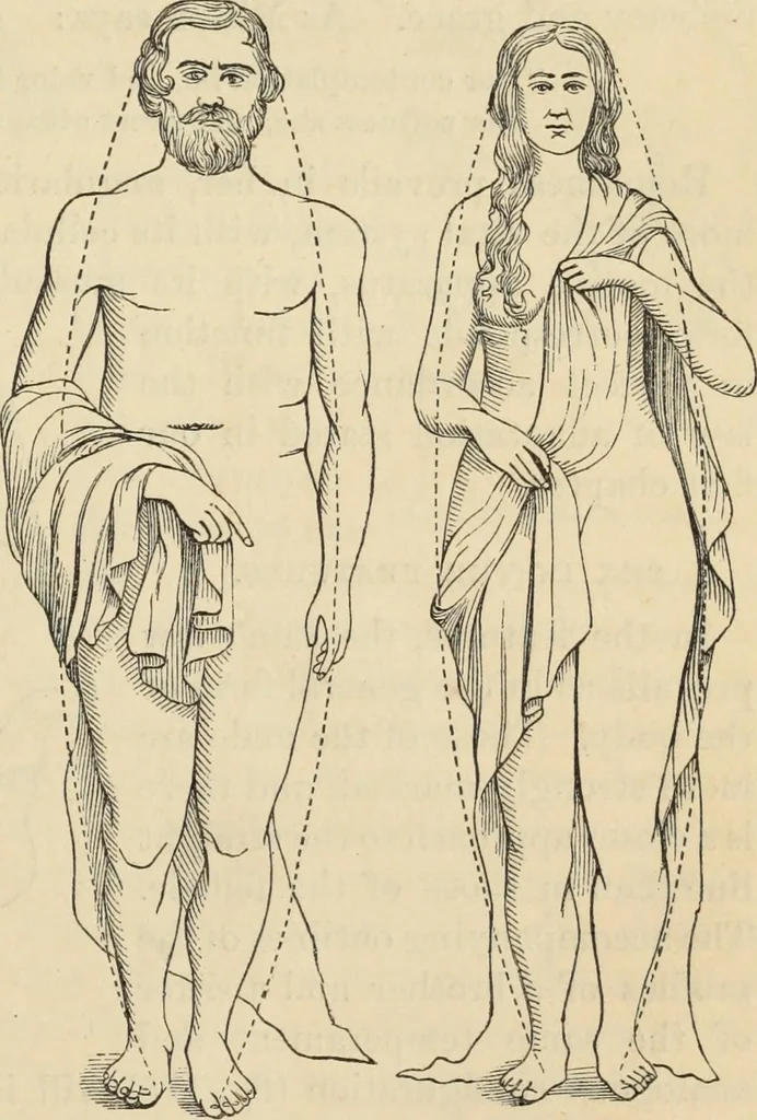 An illustration from New Physiognomy : or signs of character, as manifested through temperament and external forms, and especially in the "the human face divine.", 1889, leaf 118