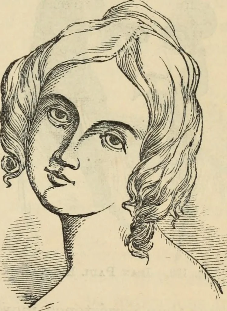 An illustration from New Physiognomy : or signs of character, as manifested through temperament and external forms, and especially in the "the human face divine.", 1889, leaf 126