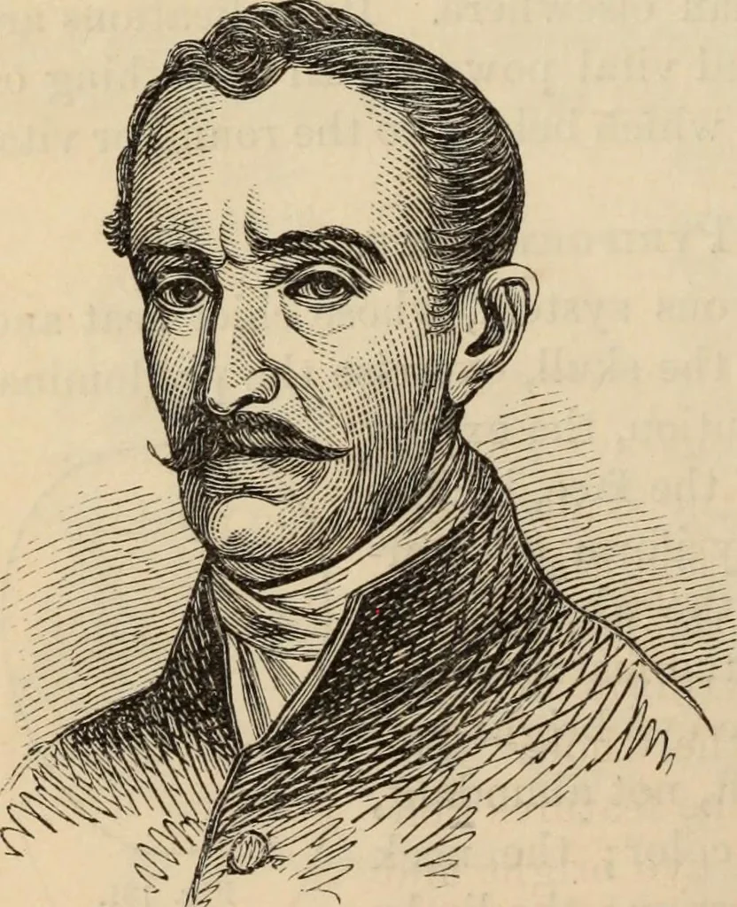 An illustration from New Physiognomy : or signs of character, as manifested through temperament and external forms, and especially in the "the human face divine.", 1889, leaf 129