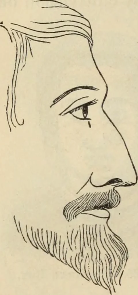 An illustration from New Physiognomy : or signs of character, as manifested through temperament and external forms, and especially in the "the human face divine.", 1889, leaf 131