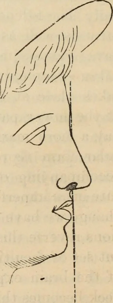 An illustration from New Physiognomy : or signs of character, as manifested through temperament and external forms, and especially in the "the human face divine.", 1889, leaf 131
