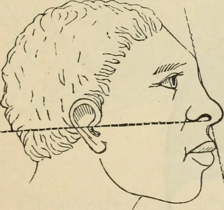 An illustration from New Physiognomy : or signs of character, as manifested through temperament and external forms, and especially in the "the human face divine.", 1889, leaf 132