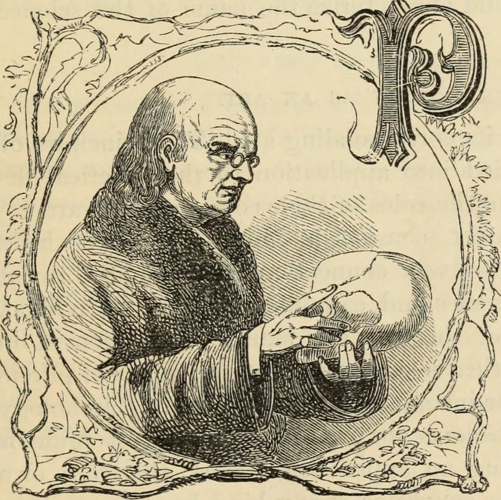 An illustration from New Physiognomy : or signs of character, as manifested through temperament and external forms, and especially in the "the human face divine.", 1889, leaf 134