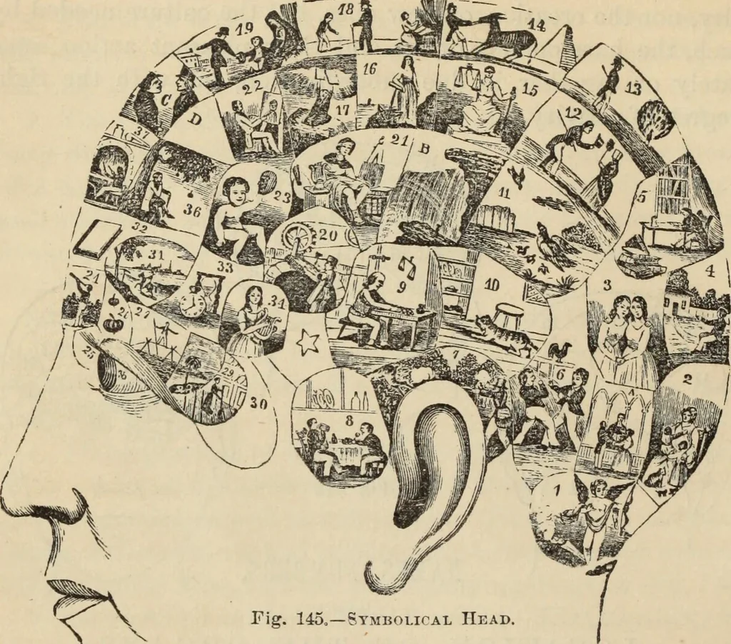 An illustration from New Physiognomy : or signs of character, as manifested through temperament and external forms, and especially in the "the human face divine.", 1889, leaf 139