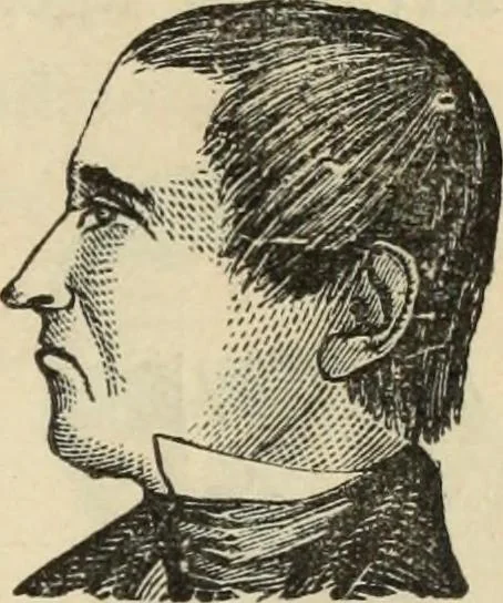 An illustration from New Physiognomy : or signs of character, as manifested through temperament and external forms, and especially in the "the human face divine.", 1889, leaf 140