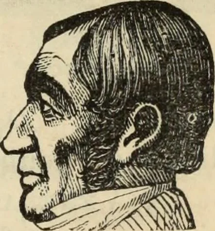 An illustration from New Physiognomy : or signs of character, as manifested through temperament and external forms, and especially in the "the human face divine.", 1889, leaf 142
