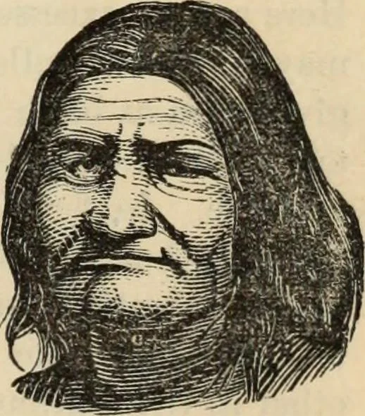 An illustration from New Physiognomy : or signs of character, as manifested through temperament and external forms, and especially in the "the human face divine.", 1889, leaf 146