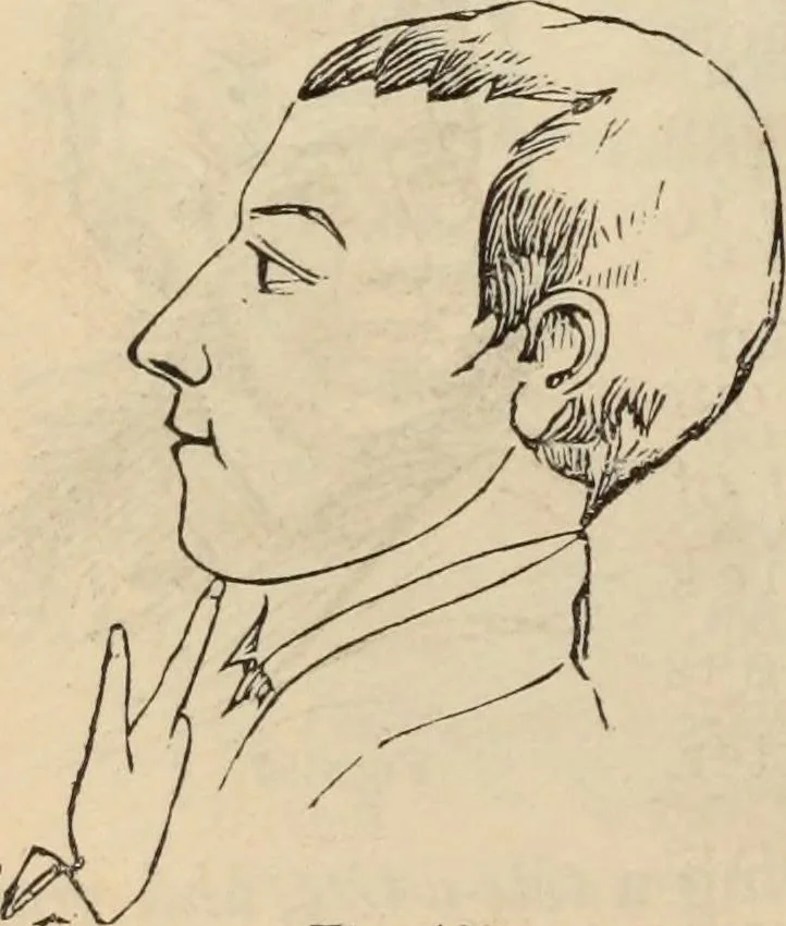 An illustration from New Physiognomy : or signs of character, as manifested through temperament and external forms, and especially in the "the human face divine.", 1889, leaf 165