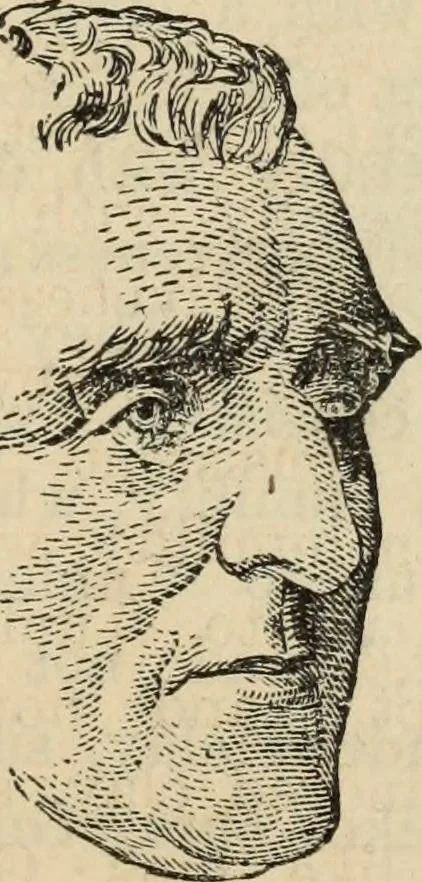 An illustration from New Physiognomy : or signs of character, as manifested through temperament and external forms, and especially in the "the human face divine.", 1889, leaf 166