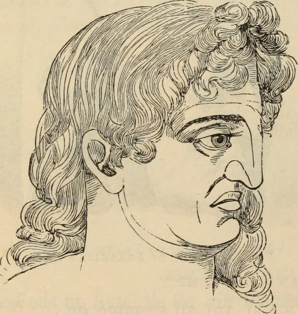 An illustration from New Physiognomy : or signs of character, as manifested through temperament and external forms, and especially in the "the human face divine.", 1889, leaf 167