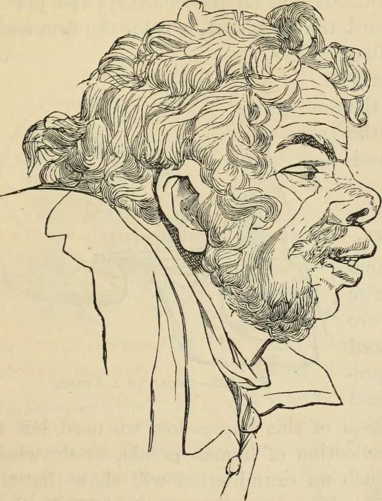 An illustration from New Physiognomy : or signs of character, as manifested through temperament and external forms, and especially in the "the human face divine.", 1889, leaf 170