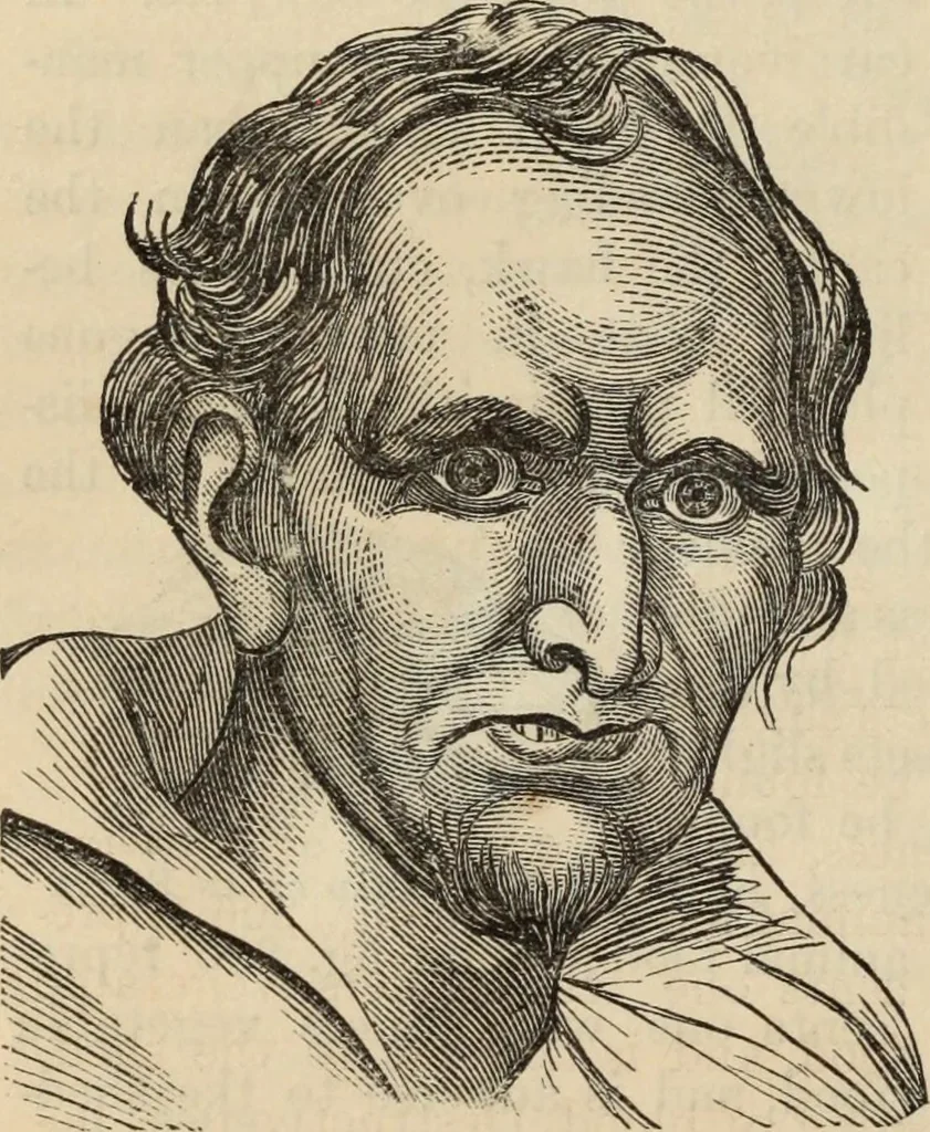 An illustration from New Physiognomy : or signs of character, as manifested through temperament and external forms, and especially in the "the human face divine.", 1889, leaf 173