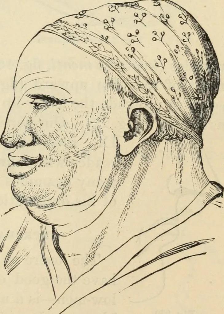 An illustration from New Physiognomy : or signs of character, as manifested through temperament and external forms, and especially in the "the human face divine.", 1889, leaf 180