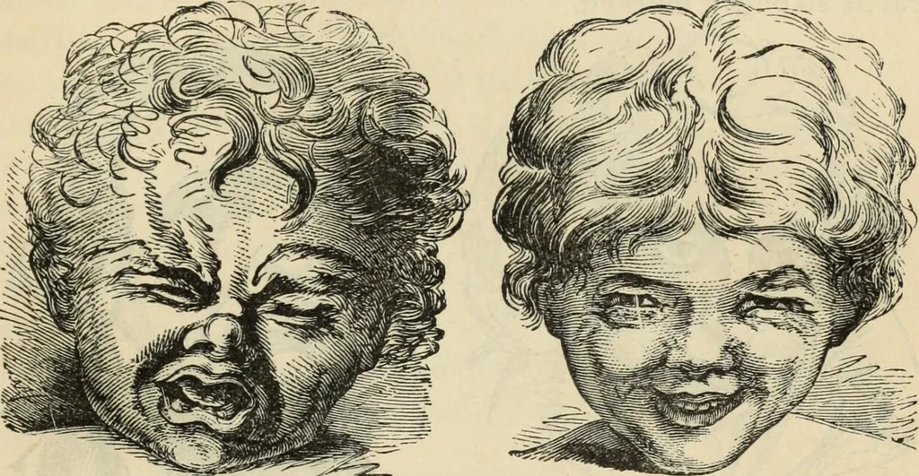 An illustration from New Physiognomy : or signs of character, as manifested through temperament and external forms, and especially in the "the human face divine.", 1889, leaf 184