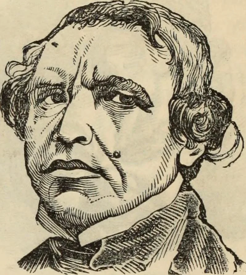 An illustration from New Physiognomy : or signs of character, as manifested through temperament and external forms, and especially in the "the human face divine.", 1889, leaf 185