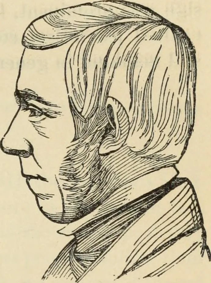 An illustration from New Physiognomy : or signs of character, as manifested through temperament and external forms, and especially in the "the human face divine.", 1889, leaf 190