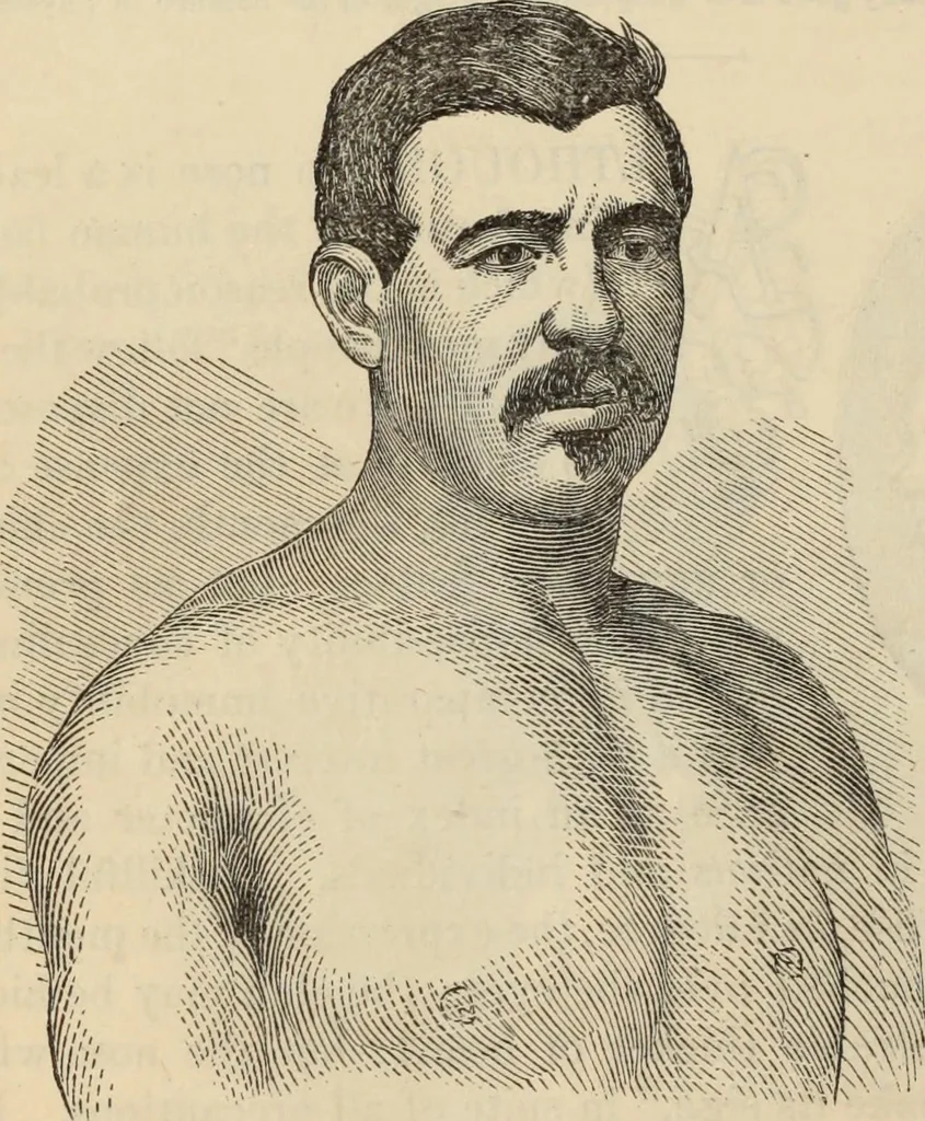 An illustration from New Physiognomy : or signs of character, as manifested through temperament and external forms, and especially in the "the human face divine.", 1889, leaf 193