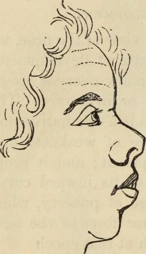 An illustration from New Physiognomy : or signs of character, as manifested through temperament and external forms, and especially in the "the human face divine.", 1889, leaf 195