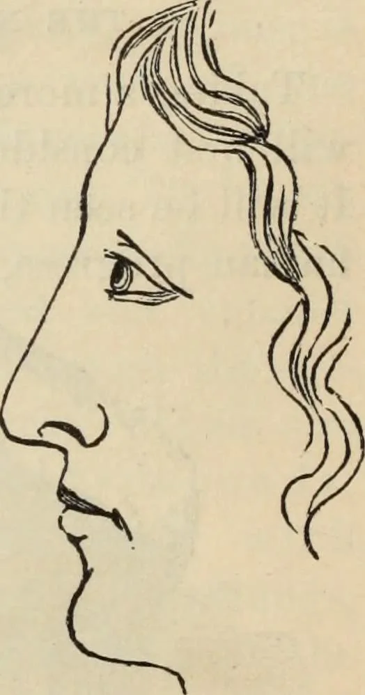 An illustration from New Physiognomy : or signs of character, as manifested through temperament and external forms, and especially in the "the human face divine.", 1889, leaf 195