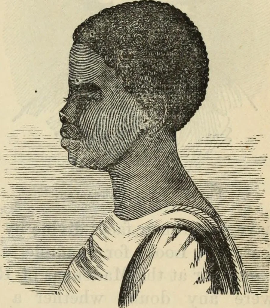 An illustration from New Physiognomy : or signs of character, as manifested through temperament and external forms, and especially in the "the human face divine.", 1889, leaf 196