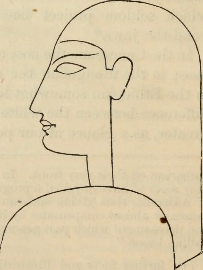 An illustration from New Physiognomy : or signs of character, as manifested through temperament and external forms, and especially in the "the human face divine.", 1889, leaf 197