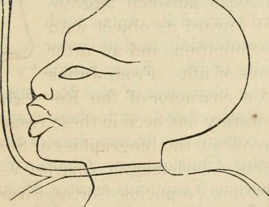 An illustration from New Physiognomy : or signs of character, as manifested through temperament and external forms, and especially in the "the human face divine.", 1889, leaf 198