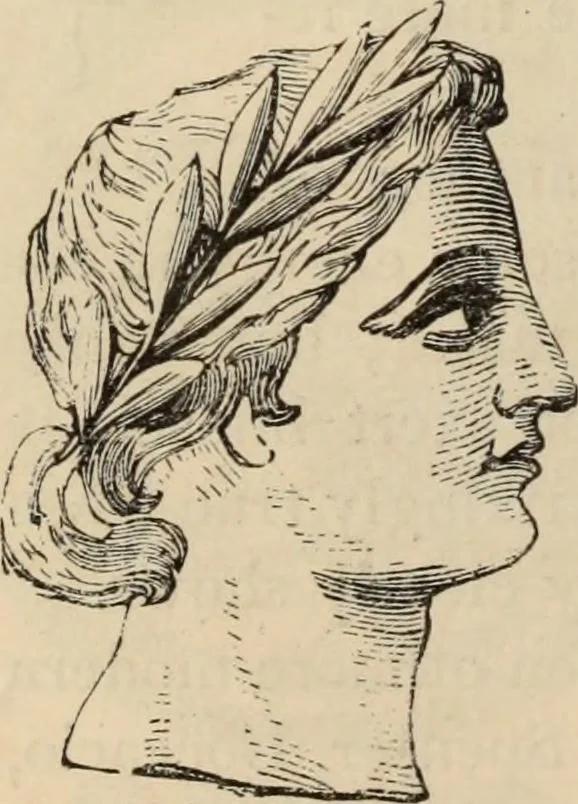 An illustration from New Physiognomy : or signs of character, as manifested through temperament and external forms, and especially in the "the human face divine.", 1889, leaf 201