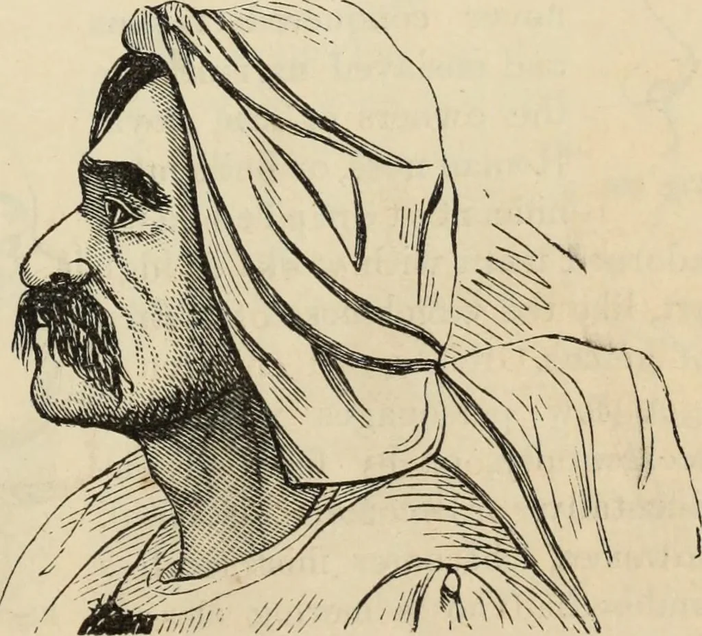 An illustration from New Physiognomy : or signs of character, as manifested through temperament and external forms, and especially in the "the human face divine.", 1889, leaf 202