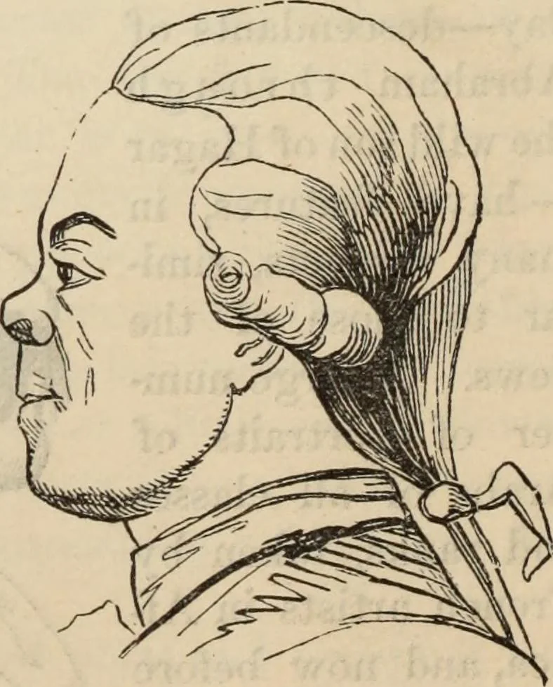An illustration from New Physiognomy : or signs of character, as manifested through temperament and external forms, and especially in the "the human face divine.", 1889, leaf 203
