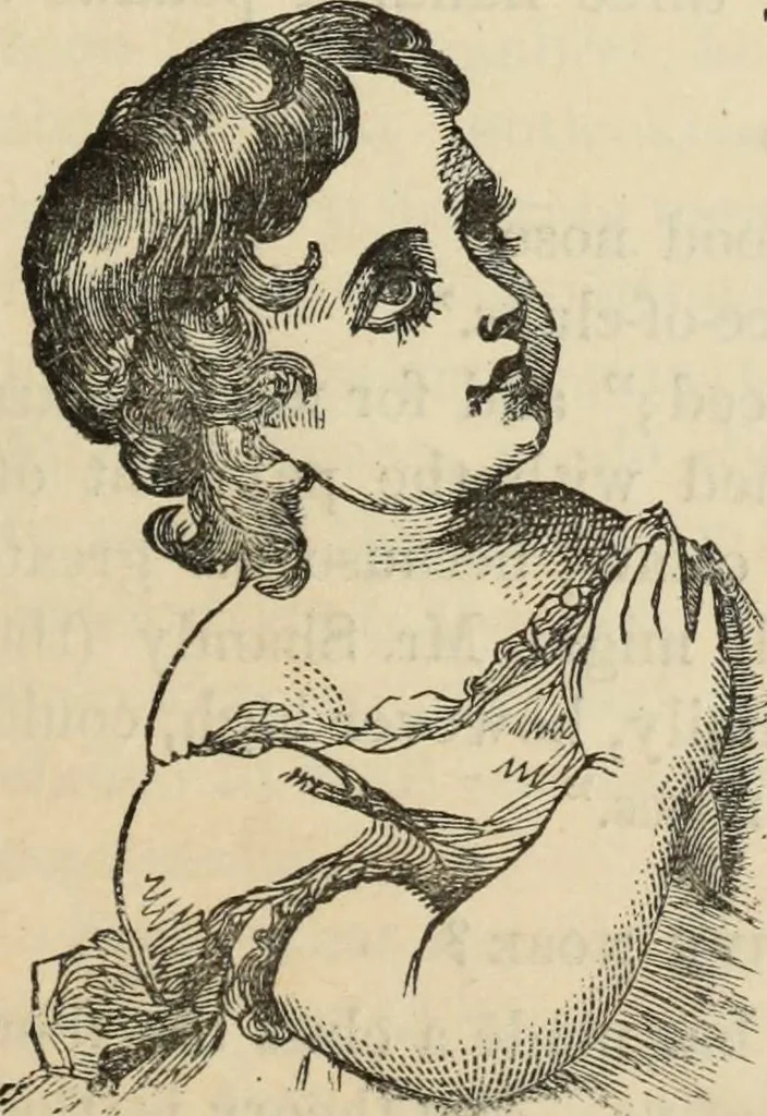 An illustration from New Physiognomy : or signs of character, as manifested through temperament and external forms, and especially in the "the human face divine.", 1889, leaf 204