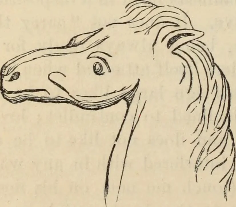 An illustration from New Physiognomy : or signs of character, as manifested through temperament and external forms, and especially in the "the human face divine.", 1889, leaf 211