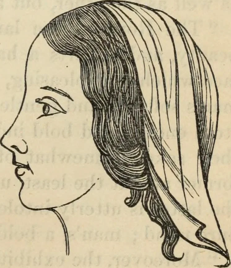 An illustration from New Physiognomy : or signs of character, as manifested through temperament and external forms, and especially in the "the human face divine.", 1889, leaf 220