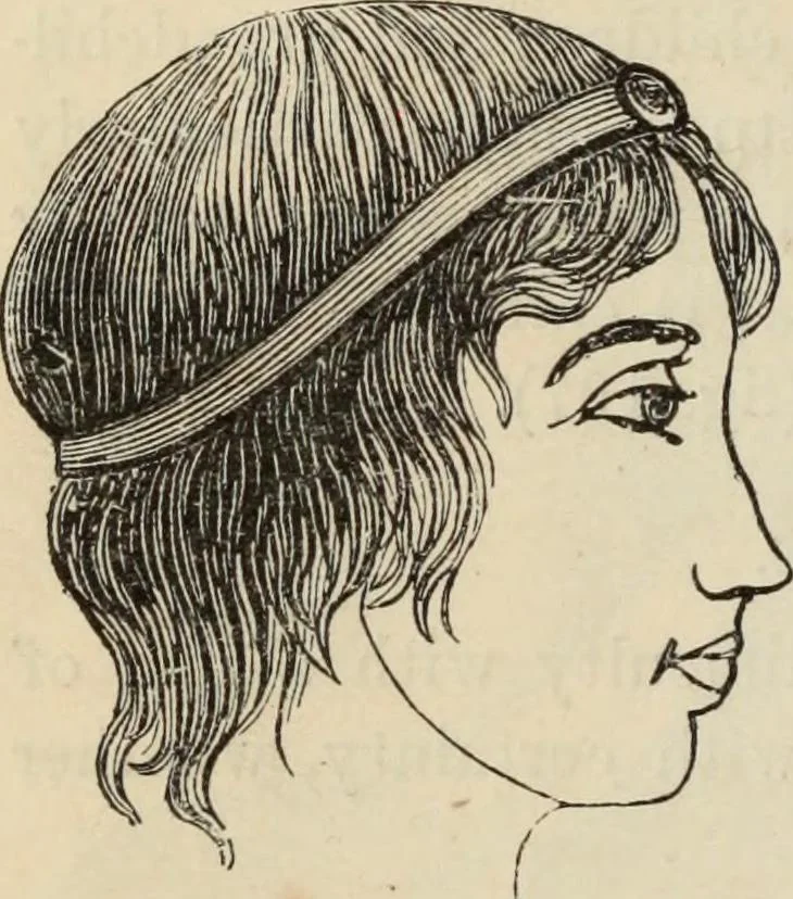 An illustration from New Physiognomy : or signs of character, as manifested through temperament and external forms, and especially in the "the human face divine.", 1889, leaf 221
