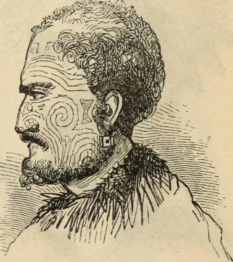 An illustration from New Physiognomy : or signs of character, as manifested through temperament and external forms, and especially in the "the human face divine.", 1889, leaf 226