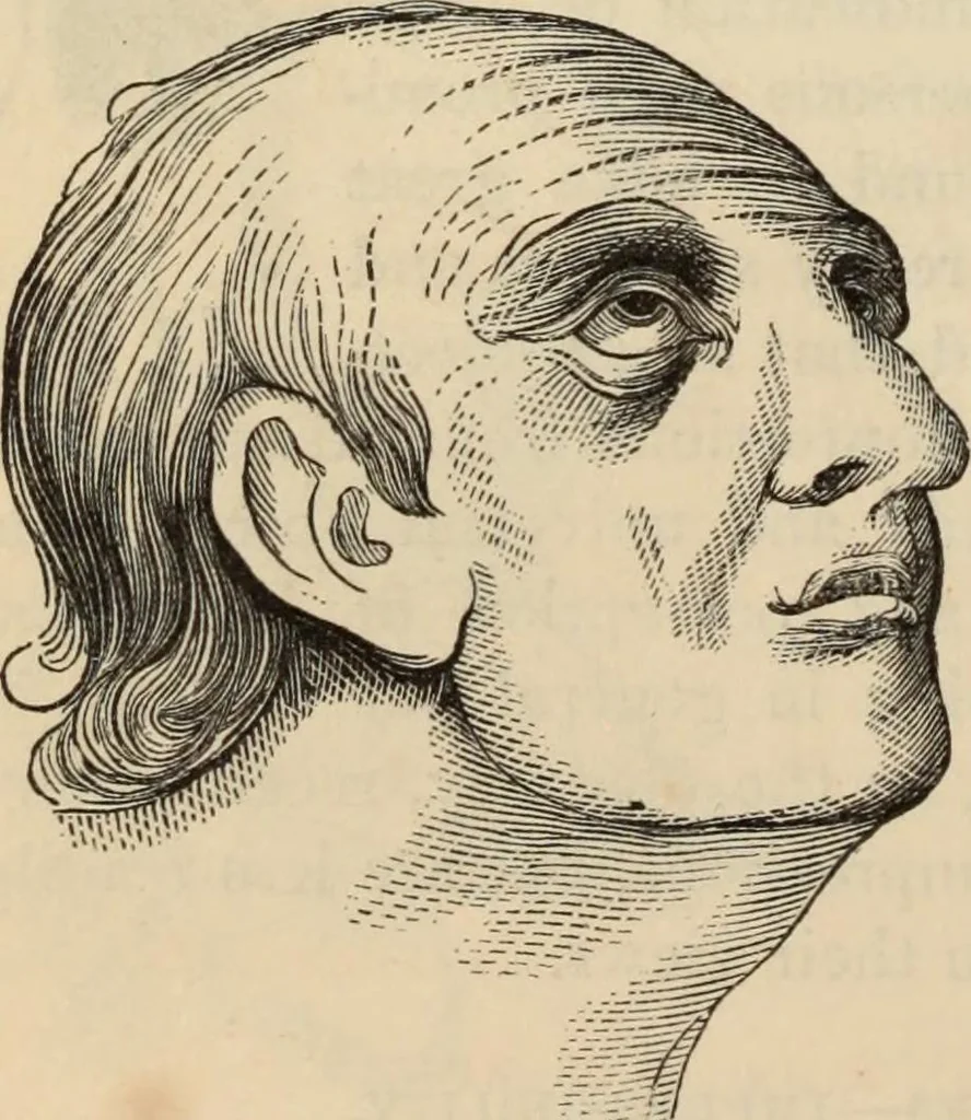 An illustration from New Physiognomy : or signs of character, as manifested through temperament and external forms, and especially in the "the human face divine.", 1889, leaf 237