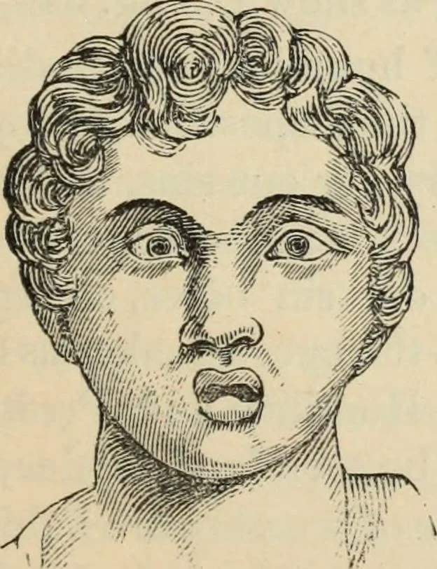 An illustration from New Physiognomy : or signs of character, as manifested through temperament and external forms, and especially in the "the human face divine.", 1889, leaf 240