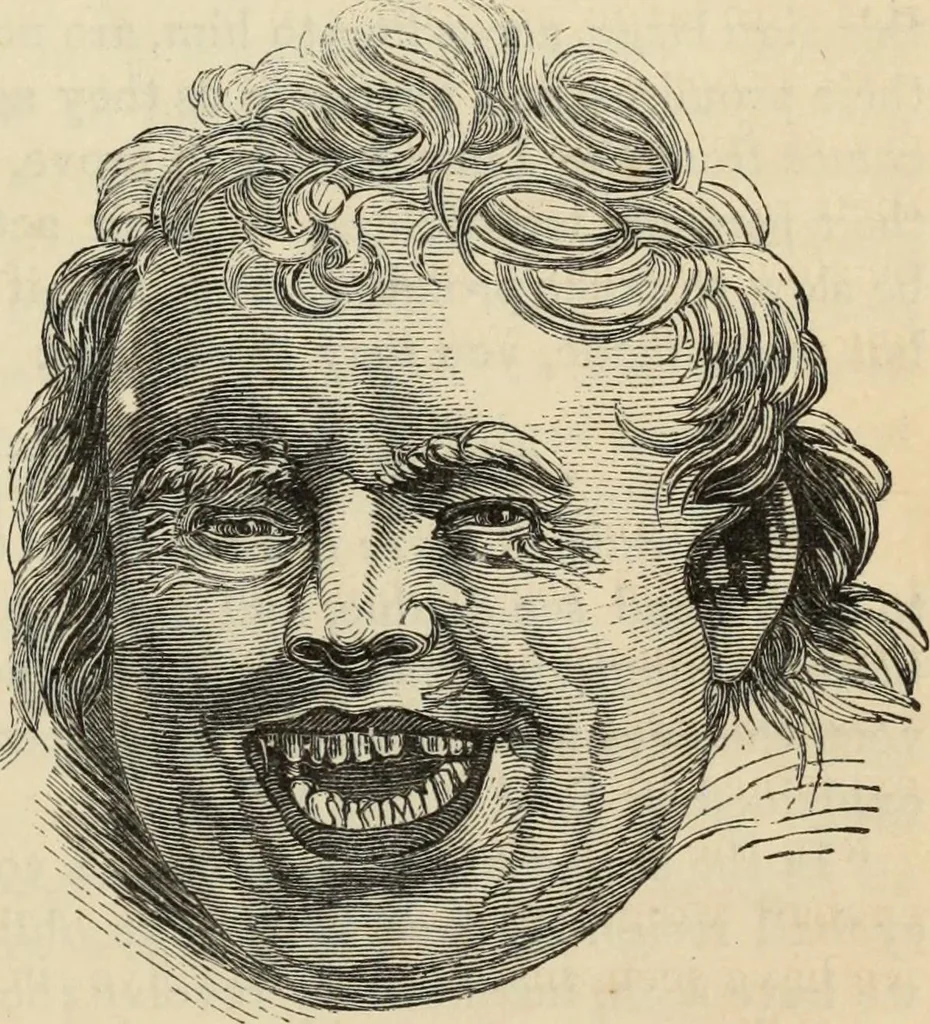An illustration from New Physiognomy : or signs of character, as manifested through temperament and external forms, and especially in the "the human face divine.", 1889, leaf 242
