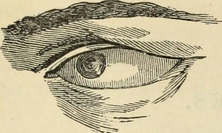An illustration from New Physiognomy : or signs of character, as manifested through temperament and external forms, and especially in the "the human face divine.", 1889, leaf 256