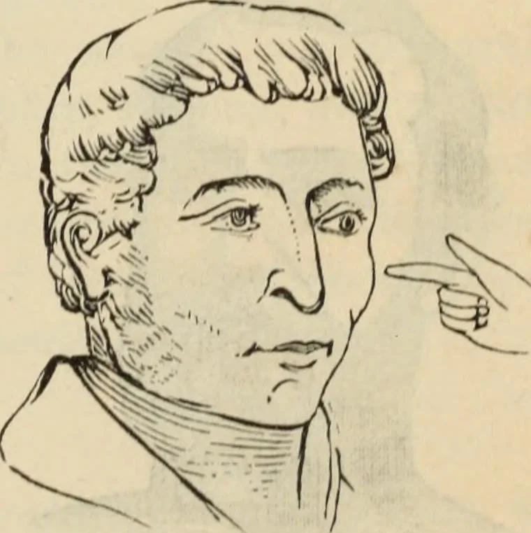 An illustration from New Physiognomy : or signs of character, as manifested through temperament and external forms, and especially in the "the human face divine.", 1889, leaf 260