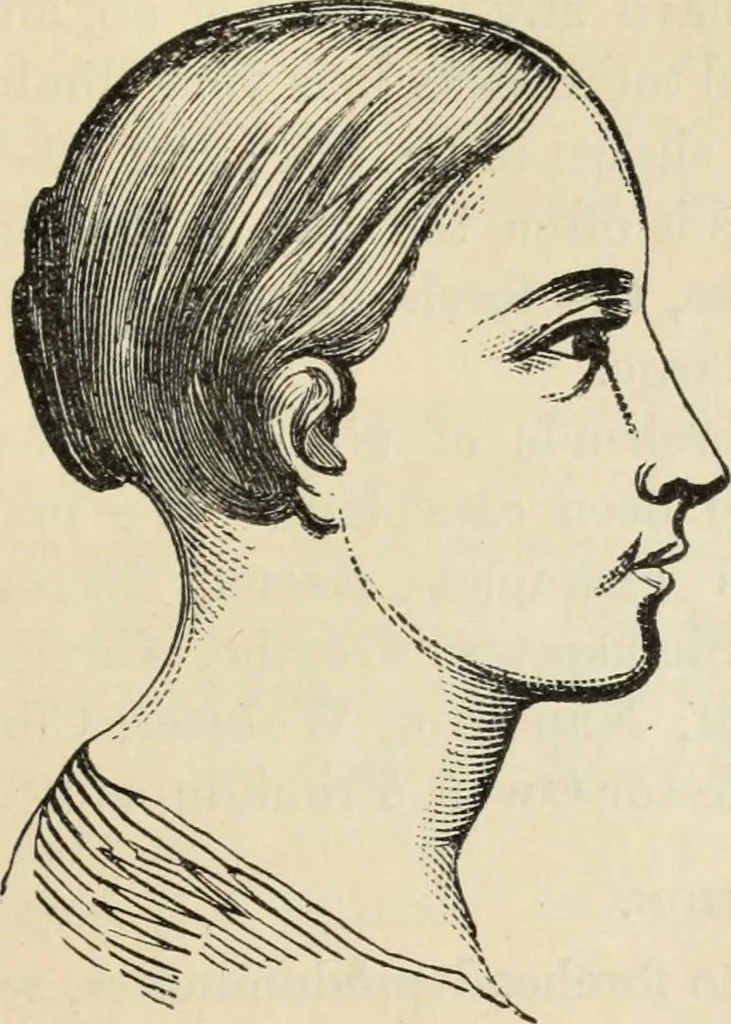 An illustration from New Physiognomy : or signs of character, as manifested through temperament and external forms, and especially in the "the human face divine.", 1889, leaf 266